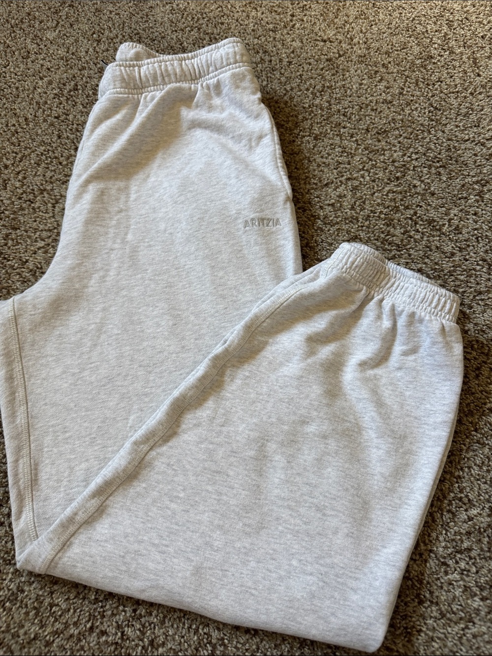 ARITZIA SWEATFLEECE JOGGER